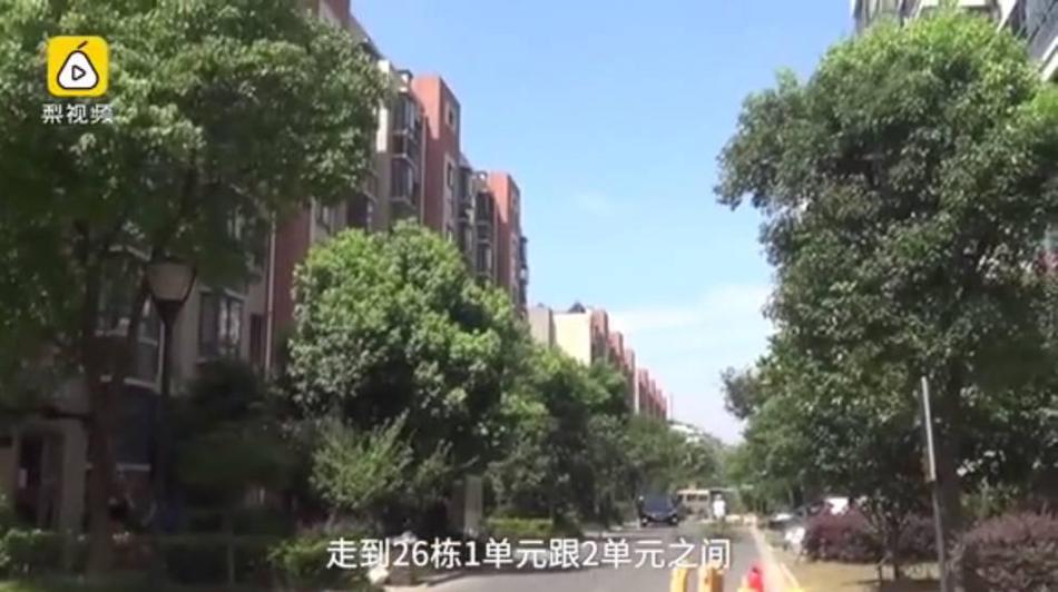 免费看高清欧美黄色三级乱片