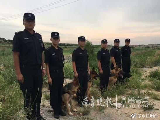 台灣三級