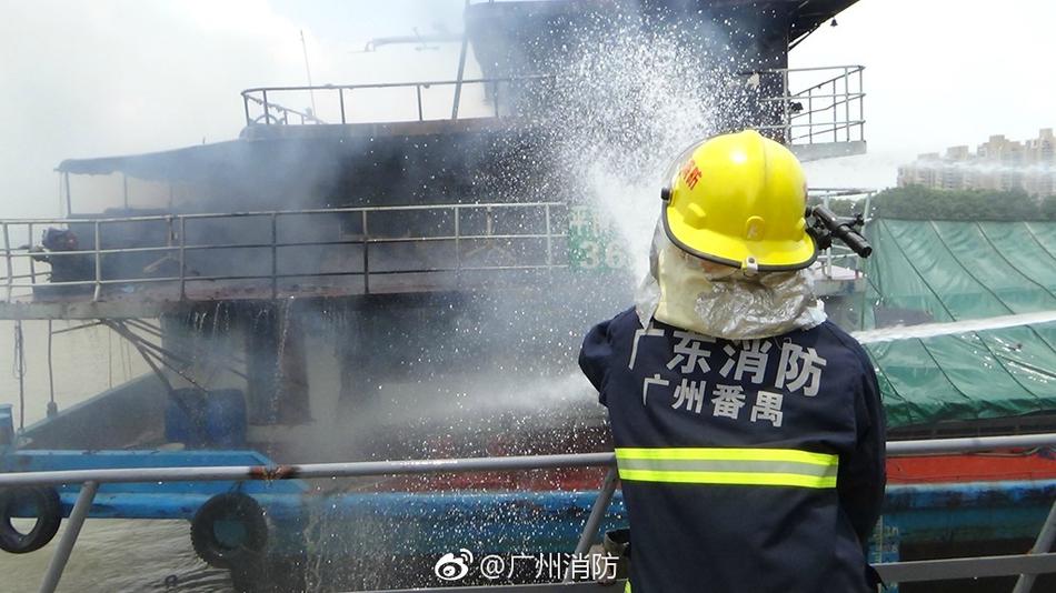 中国国内黄色视频网站免费在线观看