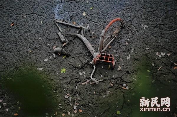 51吃瓜台北娜娜16季