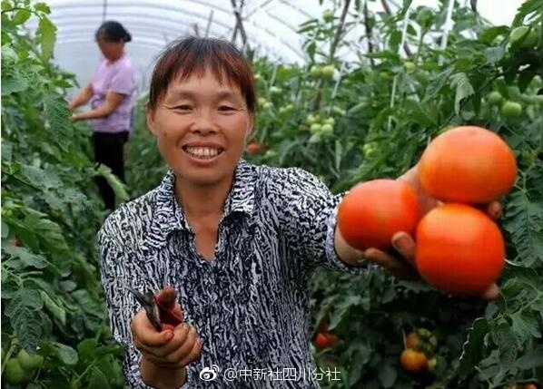 亚洲国产精品国自产拍张津瑜