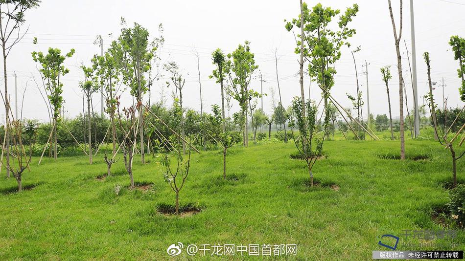 av在线天堂