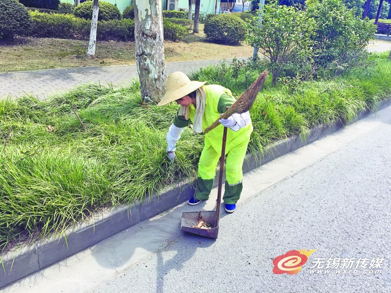 约会 网站