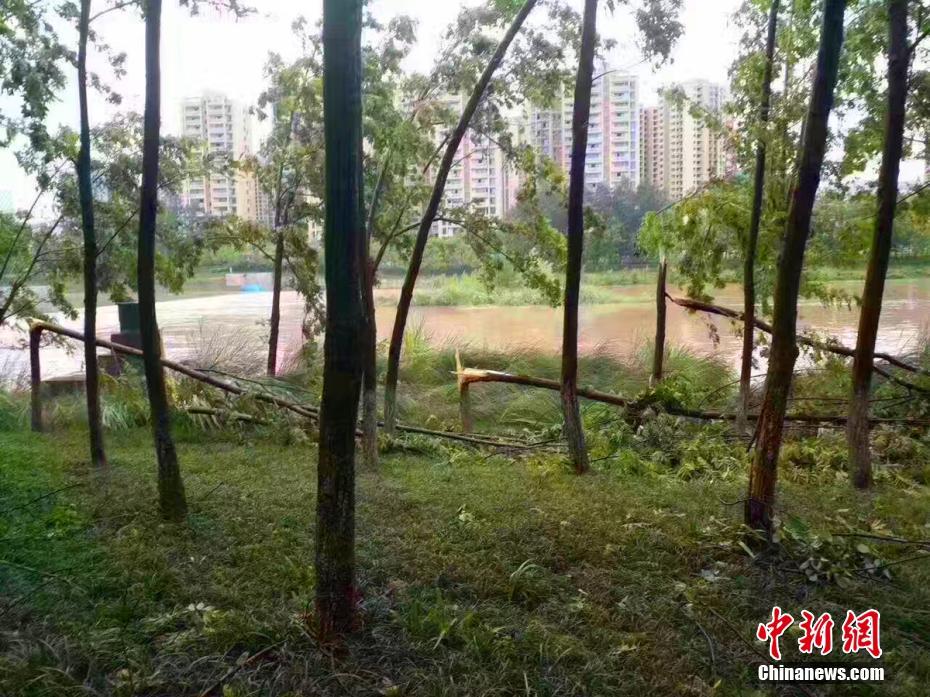 亚洲A片一区二区三区久久杨贵妃