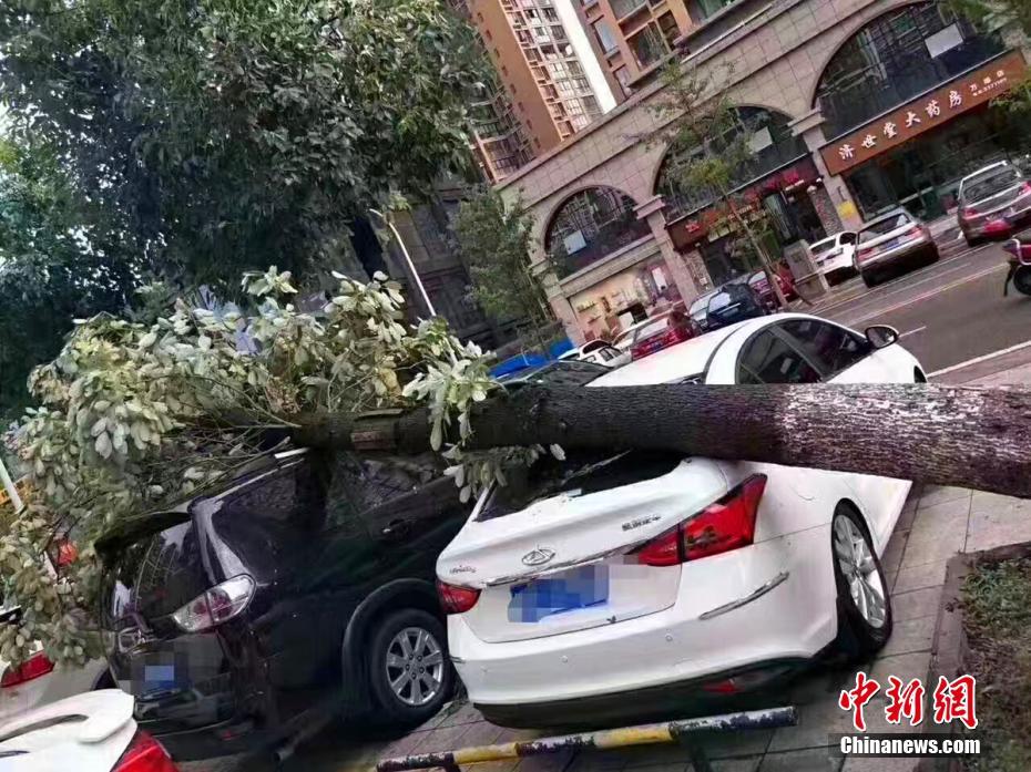 影音先锋制服丝袜