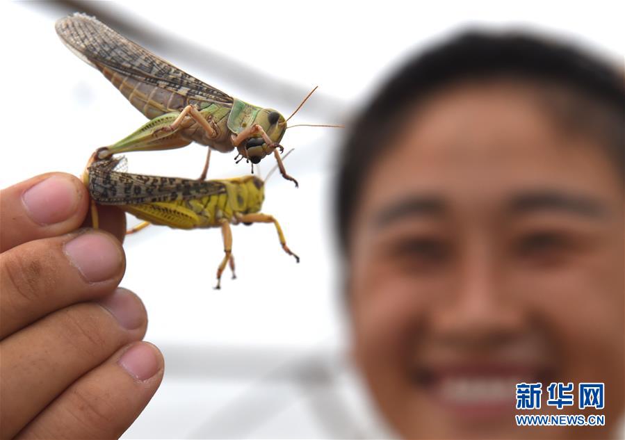性色Av网站在线观看