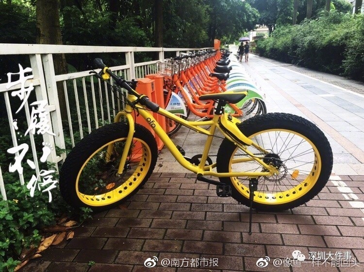 大陆东北老熟妇1