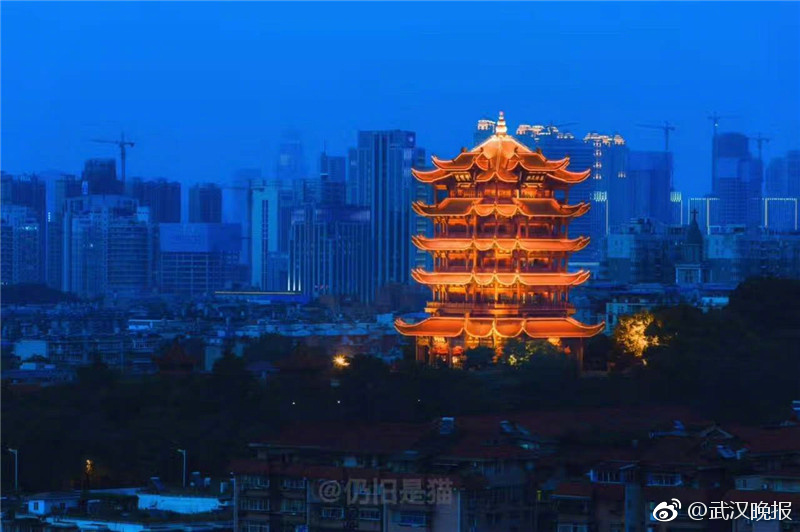 免费网站成人 视频两年半