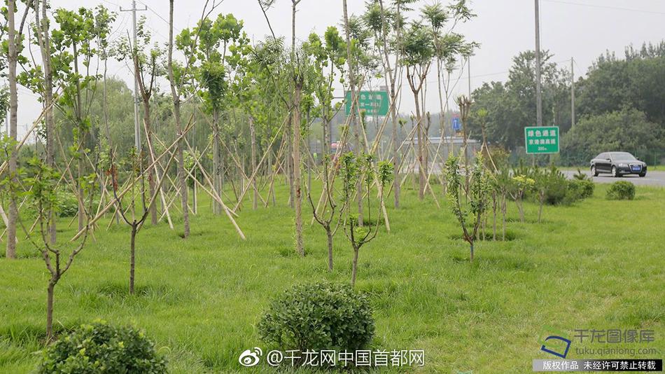 潘金莲双乳被揉得又大又硬