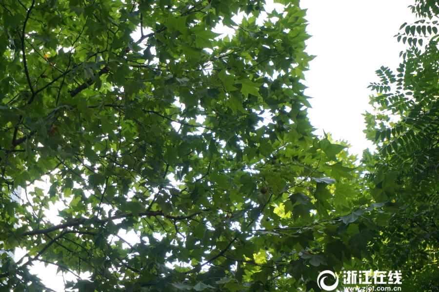 欧美日韩三区