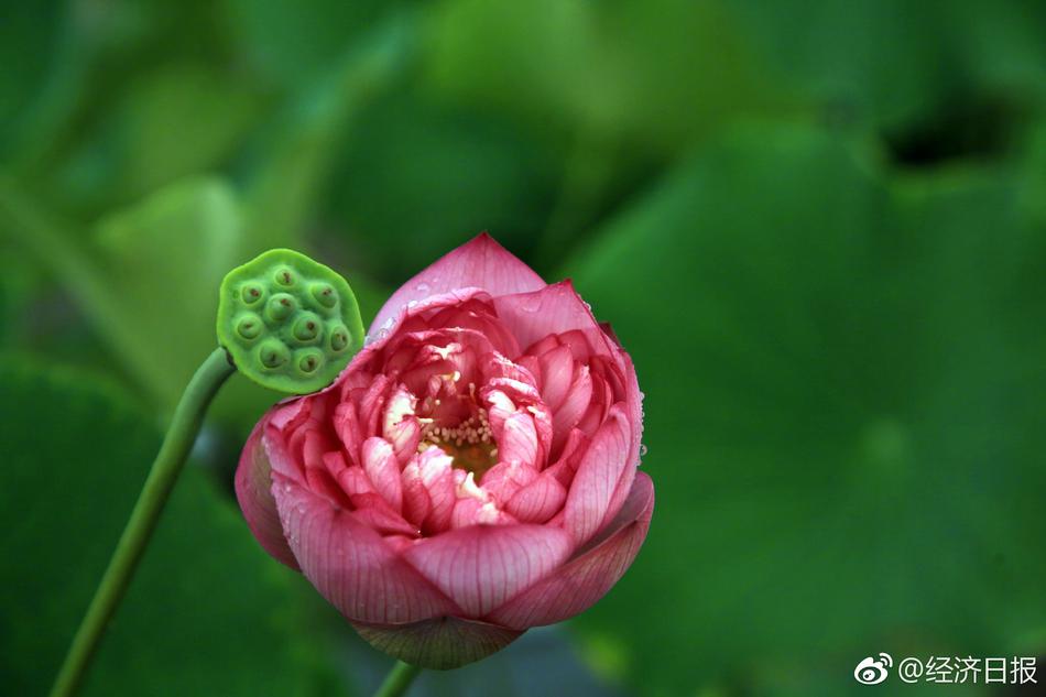 欧美禁忌三级片