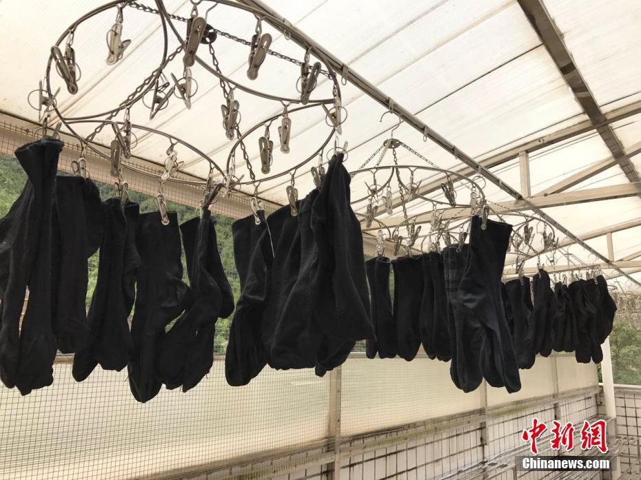 三级裸体美女澡堂洗澡偷拍