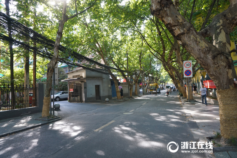 年轻漂亮的 子6