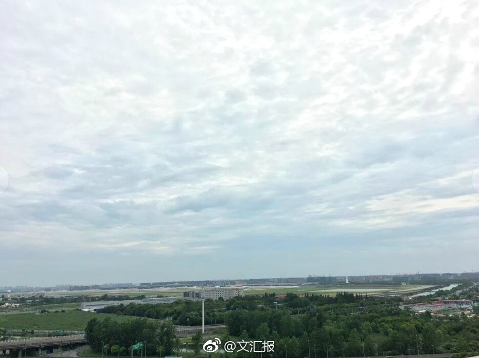 肏屄软件