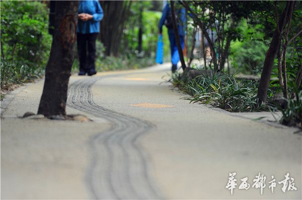 国产精品秘 麻豆果冻传