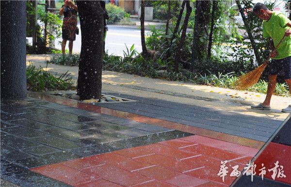在线观看黄色视频的网站