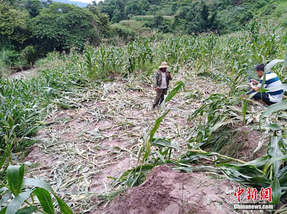 国产无码自拍乱伦