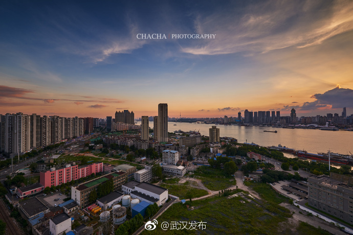 太九ti9最新