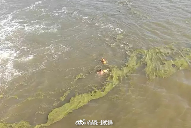 成年人免费看黄片