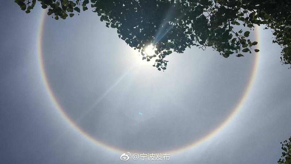秋霞欧美伦理片