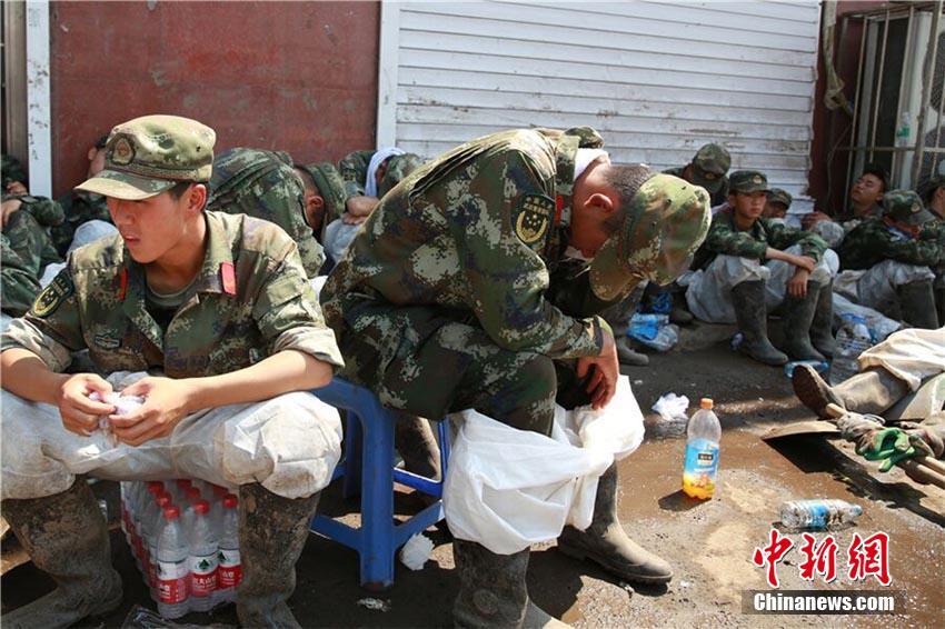 狂野少女免费完整版在线观看
