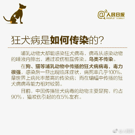 91人人妻人人澡人人爽人人学生