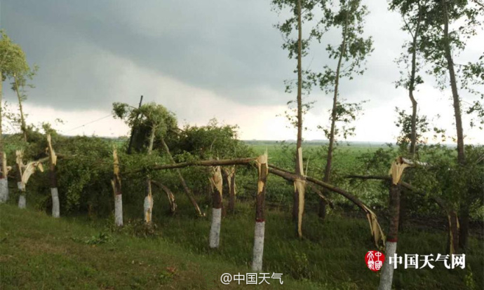 丰满熟妇乱又伦岳,喵很享受的表情的视频,中文字幕乱在线伦视频日韩