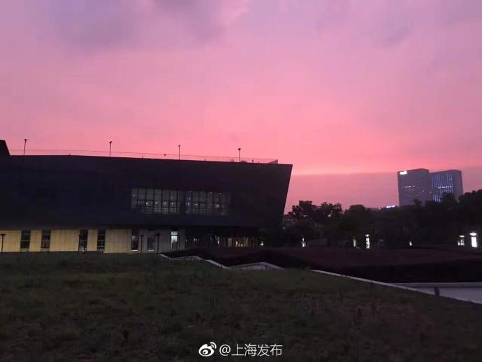 老女老师黄色电影网站