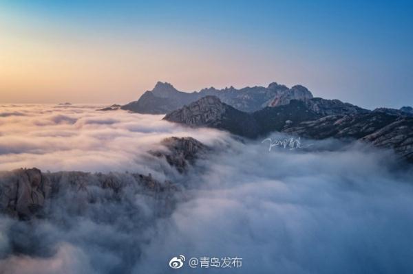 张柏芝ⅩXXXX喷潮毛片
