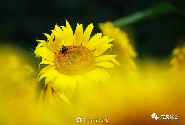 张津瑜无码无删减片段