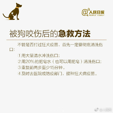 台湾绝版黄片
