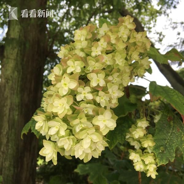 中国Xxxxmm 富婆