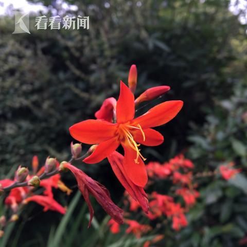 真人强1112分钟