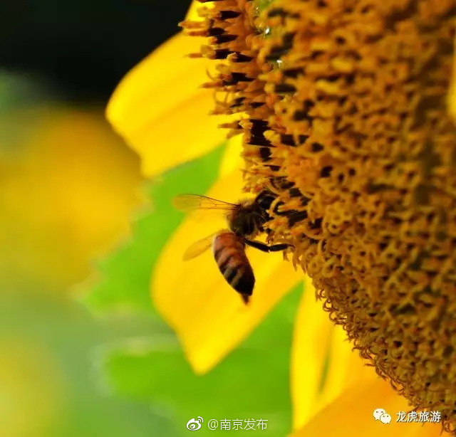 我三级韩国片