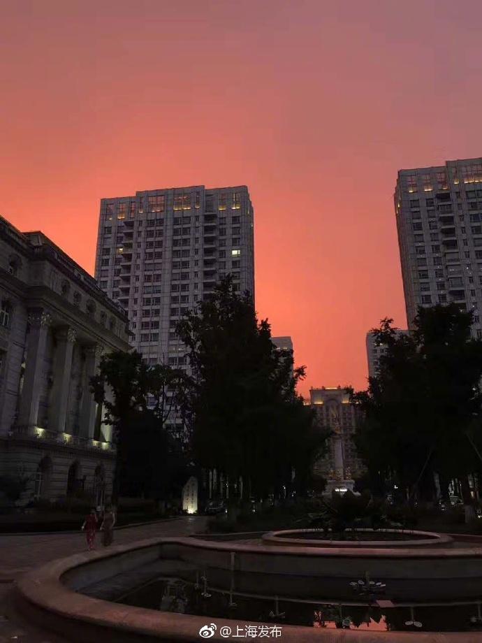 沈娜娜在线观看一区