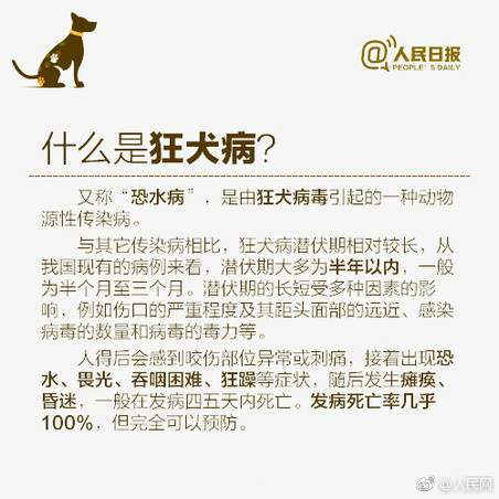 亚洲av影院