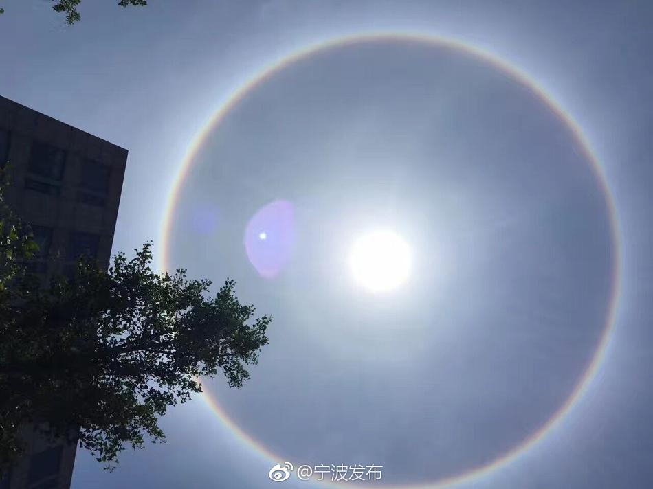 女明星们的黄色录像