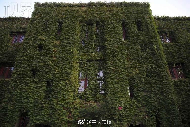 女仆露 给客人玩