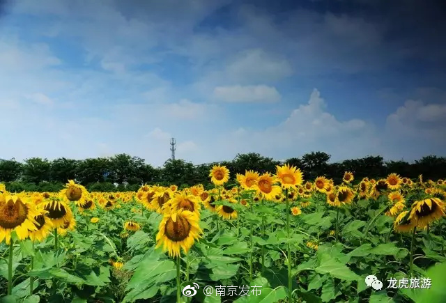 无码秘 蜜桃一区二区三区