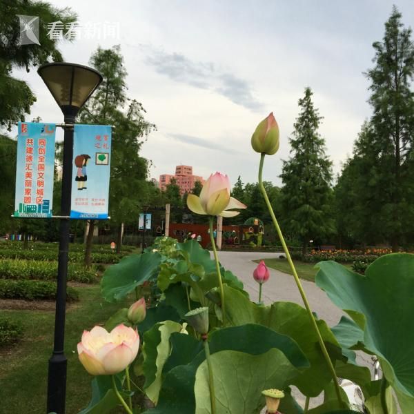 妓女的一夜性黄色片