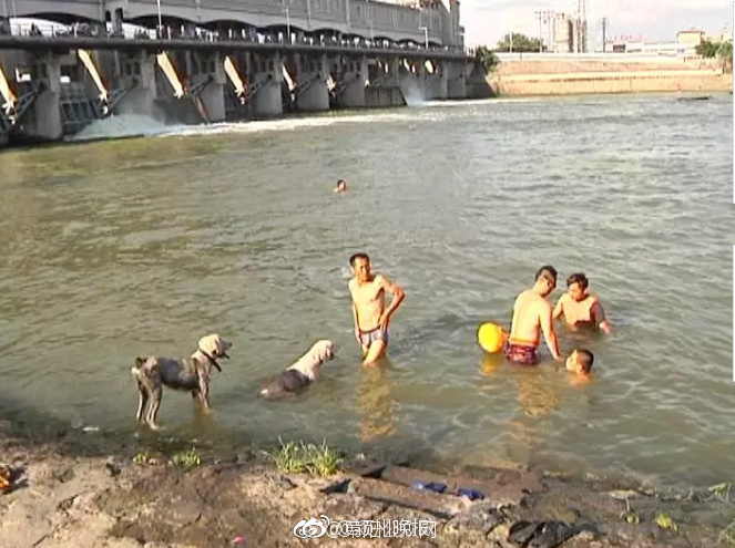欧美老妇女一级片