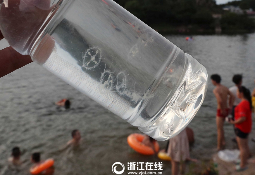 中文字幕在线播放一区富婆