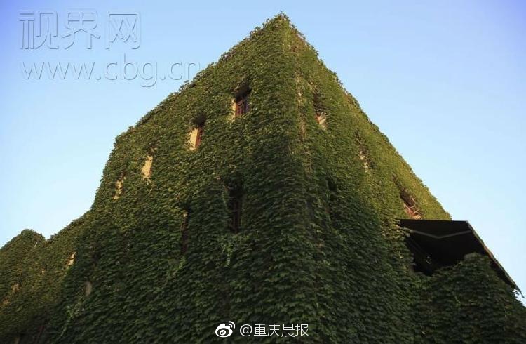 夫妻成长日记