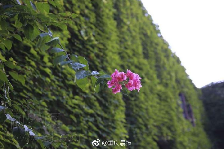 處女第一次做愛
