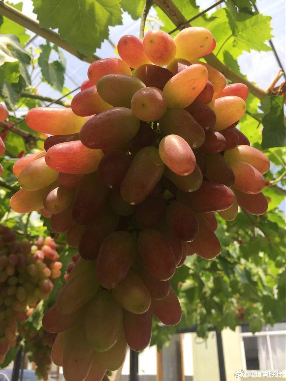 亞洲日本老太婆與小夥交Hd
