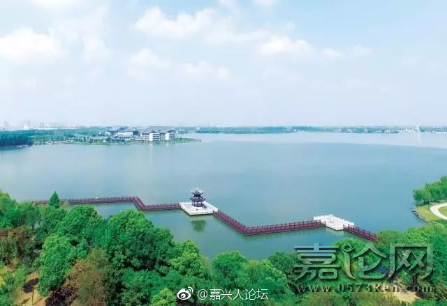 搡老女人老妇老熟女Hd