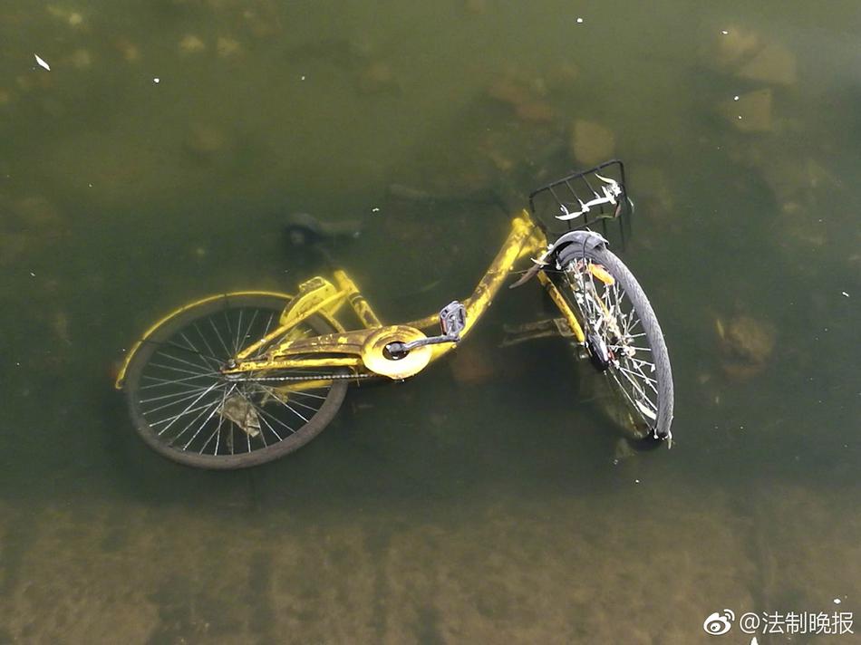 台灣肛交痛