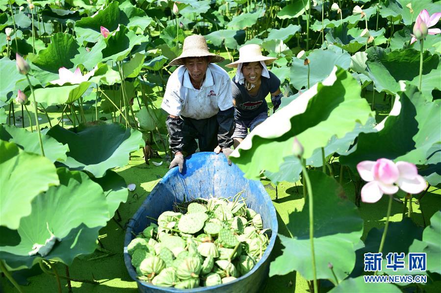 黄色视频大全在线