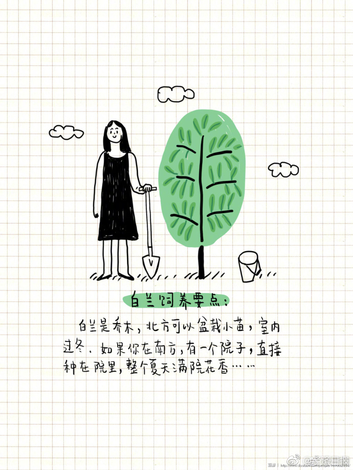 欧美老妇另类视频