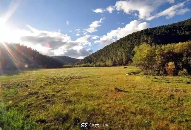 裸体 开腿羞羞游戏